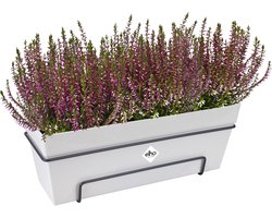 Elho Loft Urban Balkonbak Allin1 50 - Plantenbak voor Balkon Buiten - Ø 49.0 x H 20.5 cm - Wit