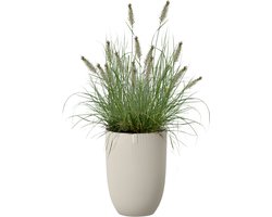 Elho Sereh Hoog 30 - Bloempot voor Binnen & Buiten - 100% Gerecycled Plastic - Ø 29.5 x H 40.5 cm - Paddenstoel beige