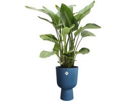Elho Vibes Fold Coupe 30 - Bloempot voor Binnen - 100% Gerecycled Plastic - Ø 29.5 x H 44.7 cm - Diepblauw