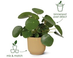 Elho Vibes Fold Rond 14 - Bloempot voor Binnen - 100% Gerecycled Plastic - Ø 14.1 x H 12.9 cm - Linen white