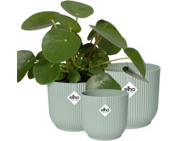 Elho Vibes Fold Rond - Bloempotten voor Binnen - 100% Gerecycled Plastic - Set van 3 - Ø 14, 16, 18 cm - Sorbet groen