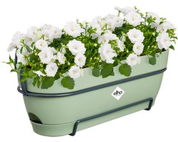 Elho Vibia Campana Balkonbak Allin1 50 - Plantenbak voor Balkon - Ø 50.4 x H 17.7 cm - Pistachegroen