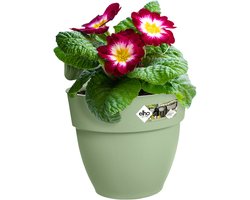 Elho Vibia Campana Easy Hanger S 21 - Balkonbak met Ophanghaken - 100% Gerecycled Plastic - Ø 20.5 x H 26.5 cm - Pistachegroen