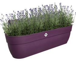Elho Vibia Campana Easy Hanger XXL 70 - Plantenbak voor Balkon - Balkonbak - 100% Gerecycled Plastic - L69 x B26.8 x H23.7 cm - Esdoorn paars