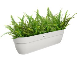 Elho Vibia Campana Easy Hanger XXL 70 - Plantenbak voor Balkon - Balkonbak - 100% Gerecycled Plastic - L69 x B26.8 x H23.7 cm - Zijdewit