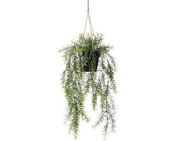 Emerald - Kunst Hangplant in pot Asparagus 50cm - Kunstplant voor binnen