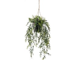 Emerald - Kunst Hangplant in pot Buxus 50cm - Kunstplant voor binnen
