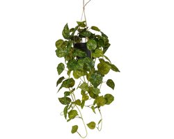 Emerald - Kunst Hangplant Scindapsus in pot groen/geel 70cm - Kunstplant voor binnen