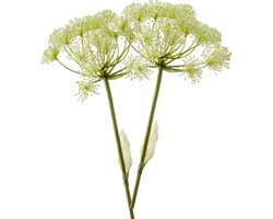 Emerald Kunstbloem Berenklauw - 2x - 78 cm - wit - losse tak - kunst zijdebloem - Heracleum - decoratie