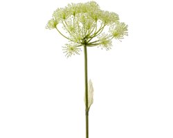 Emerald Kunstbloem Berenklauw - 78 cm - wit - losse tak - kunst zijdebloem - Heracleum - decoratie