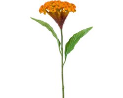 Emerald - Kunstbloem Celosia 62cm geel/oranje - Kunstplant voor binnen