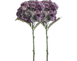 Emerald Kunstbloem hortensia tak - 2x - 50 cm - groen/paars - kunst zijdebloemen - decoratie - hydrangea