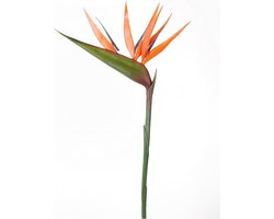 Emerald - Kunstbloem Paradijsvogelbloem 90cm oranje - Kunstplant voor binnen