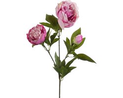 Emerald Kunstbloem pioenrozen tak - 3 bloemen - roze - 70 cm - decoratie