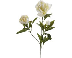 Emerald Kunstbloem pioenrozen tak - 3 bloemen - wit - 70 cm - decoratie