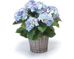 Emerald - Kunstplant Hortensia 45cm blauw in pot - Kunstplant voor binnen