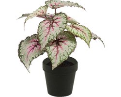 Emerald - Kunstplant in pot Begonia grijs/roze 25cm - Kunstplant voor binnen