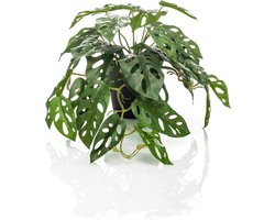Emerald - Kunstplant in pot Monstera Monkey 55cm - Kunstplant voor binnen