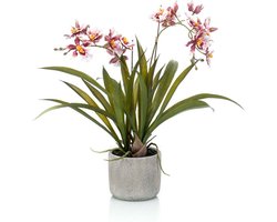 Emerald - Kunstplant in pot Oncidium bordeux 45cm - Kunstplant voor binnen