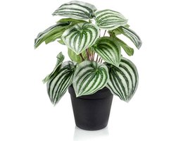 Emerald - Kunstplant in pot Peperomia groen/grijs 25cm - Kunstplant voor binnen