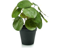 Emerald - Kunstplant in pot Pilea 22cm - Kunstplant voor binnen