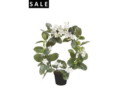 Emerald - Kunstplant in pot Stephanotis Ring wit 40cm - Kunstplanten voor binnen
