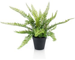 Emerald - Kunstplant in pot Varen struik 35cm - Kunstplant voor binnen