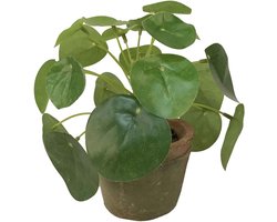 Emerald Kunstplant pilea/pannekoekplant - mini - groen - in pot - 13 cm