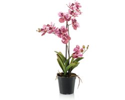 Emerald - Kunstplant Vanda in pot oudroze 60cm - Kunstplant voor binnen