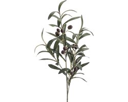 Emerald - Kunsttak Olijf 75cm - Kunstplant voor binnen