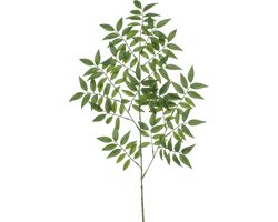 Emerald - Kunsttak Ruscus 95cm - Kunstplant voor binnen