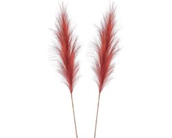 Emerald Pampasgras pluim losse steel/tak - 2x - roodbruin - 115 cm - Decoratie kunst bloemen/graspluimen