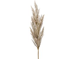 Emerald Pampasgras pluim losse steel/tak - naturel - 92 cm - Decoratie kunst bloemen/graspluimen