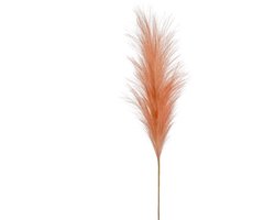 Emerald Pampasgras pluim losse steel/tak - oudroze - 115 cm - Decoratie kunst bloemen/graspluimen