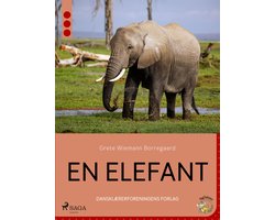 En elefant