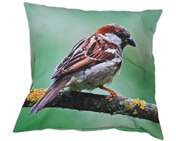 Esschert Design Buitenkussen S Huismus 40 x 40 cm