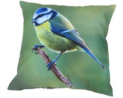 Esschert Design buitenkussen S pimpelmeesmotief 40 x 40 cm polyester