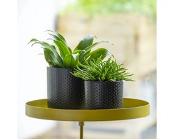 Esschert design - Vensterbankklem goud L