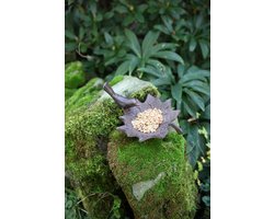 Esschert Design - Vogelbad - Vogeldrinkschaal - 20 x 12 x 16 cm