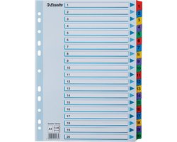Esselte Index A4 - 1-20 Tabs - Karton met Mylar Versterkt - 11-gaats - Meerkleurig