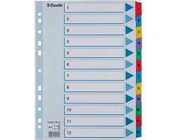 Esselte Index A4 - Tabs 1-12 - Karton met Mylar Versterkt - 11-gaats - Meerkleurig