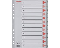 Esselte Kunststof Index 1-12 met Perforatiegaten - Tabblad voor A4 Documenten - Grijs