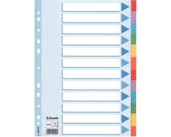 Esselte tabbladen 12 tabs