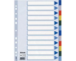Esselte tabbladen 12 tabs
