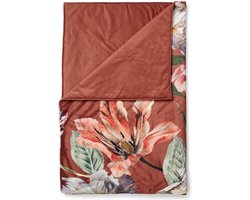 ESSENZA Filou Sprei Shell brown - 240x100