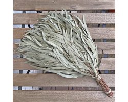 Eucalyptus Saunatakken - Aromatische Sauna Takken voor Sauna & Wellness