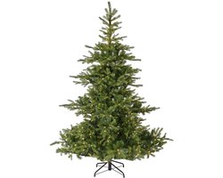 Everlands Grandis fir grote verlichte kunstkerstboom groen 240cm, 700 lampjes