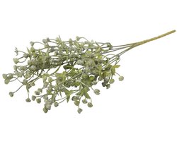 Exacum grijsgroene tak- decoratie tak- woondecoratie
