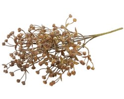 Exacum licht bruine tak- decoratieve tak- woondecoratie