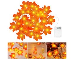 EXCITAT Lichtsnoer - Esdoornblad lichtsnoer - Huisdecoratie - Geschikt voor het decoreren van huis, tuin, feest, woonkamer